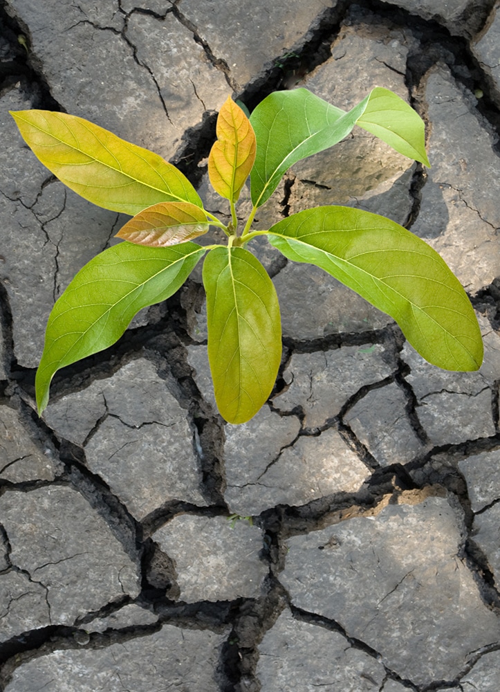 Land use and soil